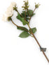 Artificial 87cm Single Stem Ivory Spray Rose